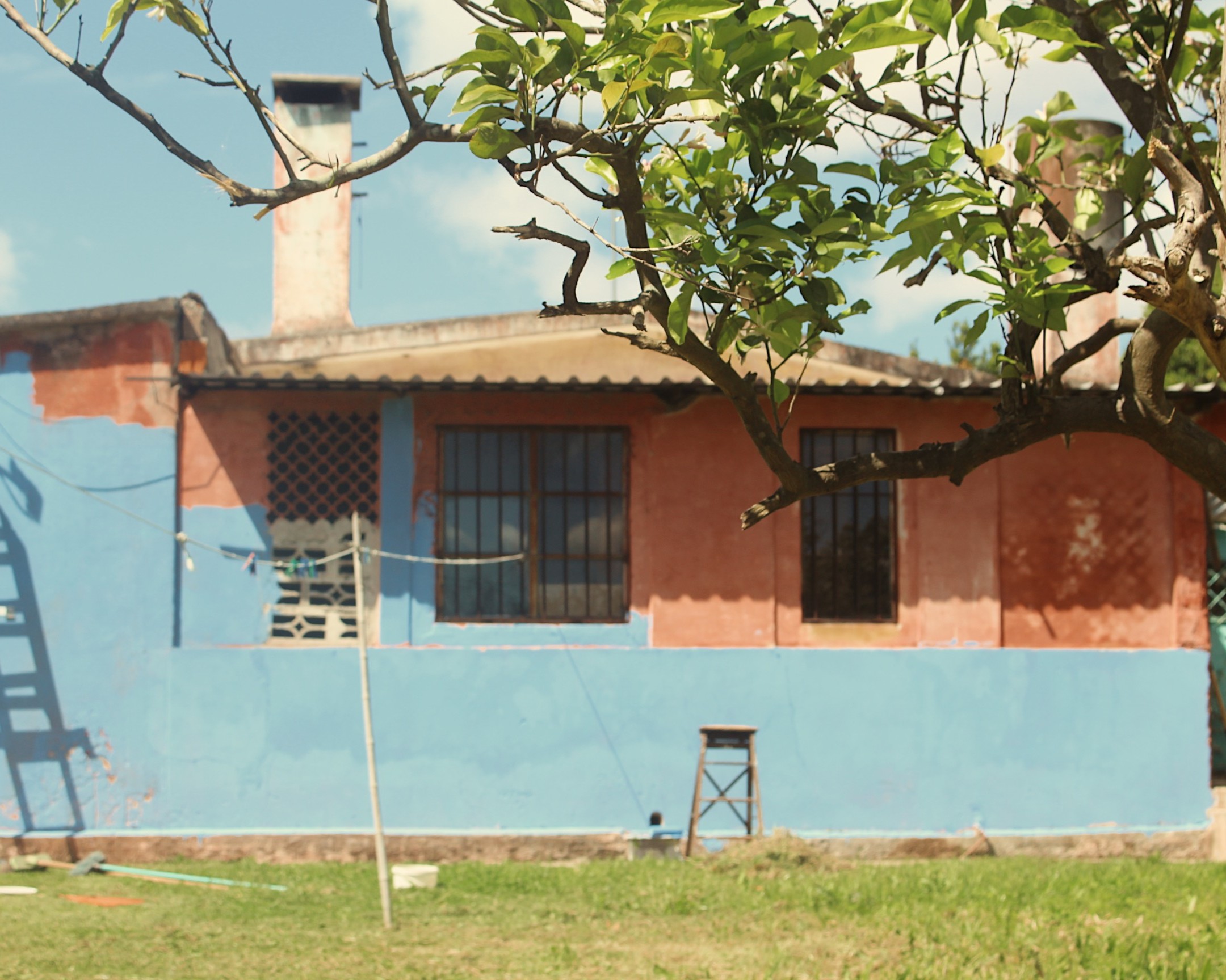 Processed with VSCO with dog2 preset